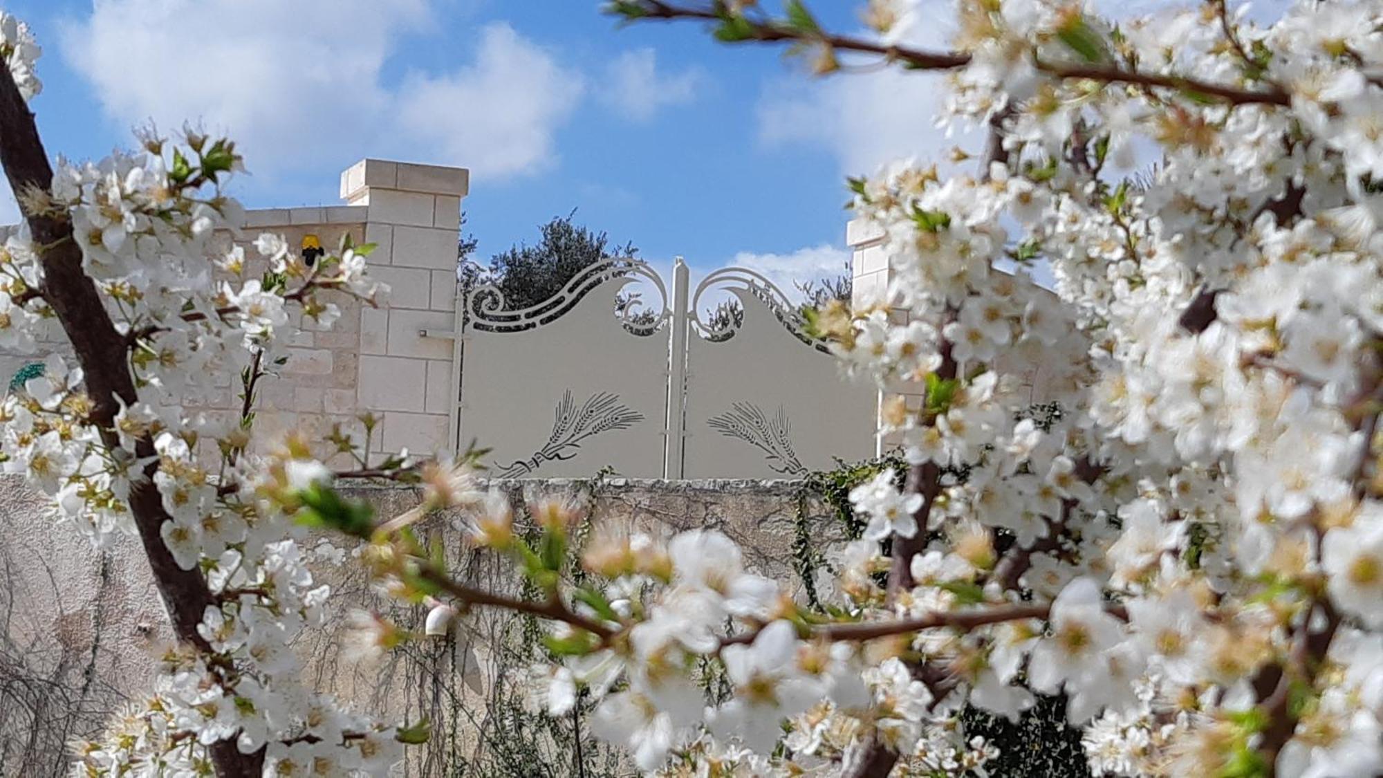 Villa Karmel Valle D'Itria Cisternino Eksteriør bilde
