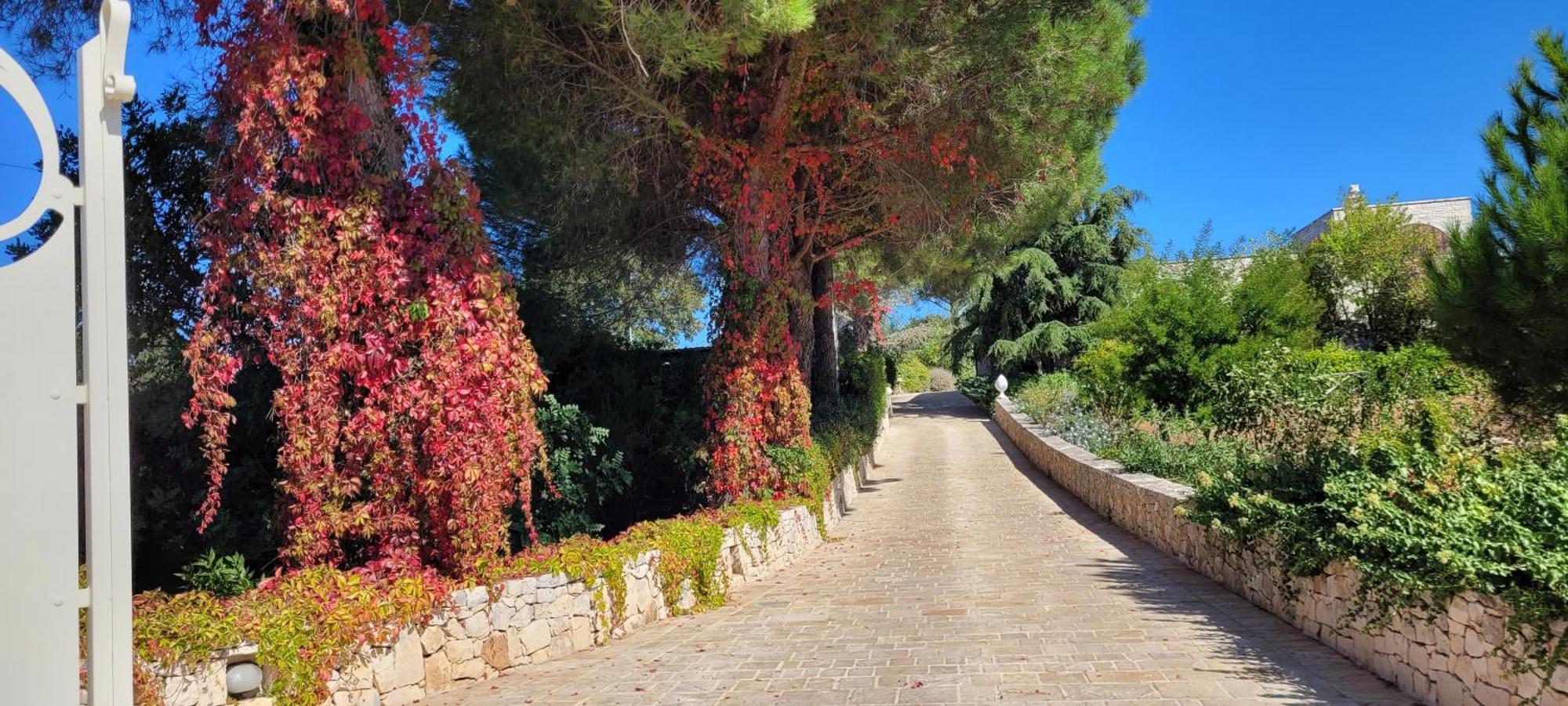 Villa Karmel Valle D'Itria Cisternino Eksteriør bilde